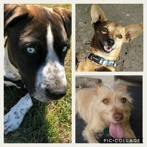 Meet your Posher, Karin